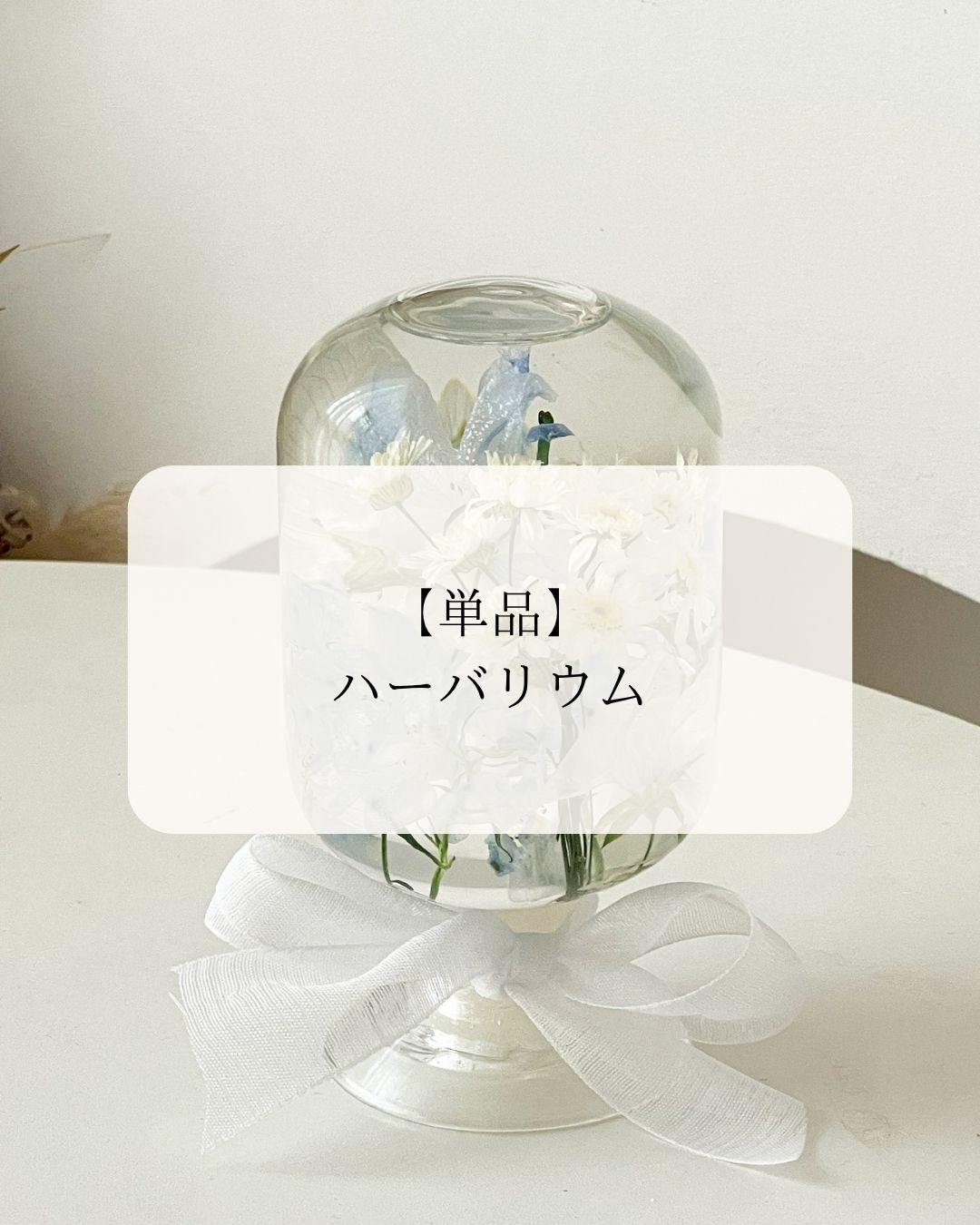 【単品】360°映える”ハーバリウム”